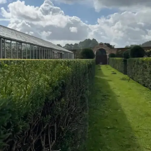 Hedge trimming and maintenance services in Stroud and Gloucestershire copy