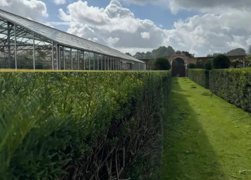 Hedge trimming and maintenance services in Stroud and Gloucestershire