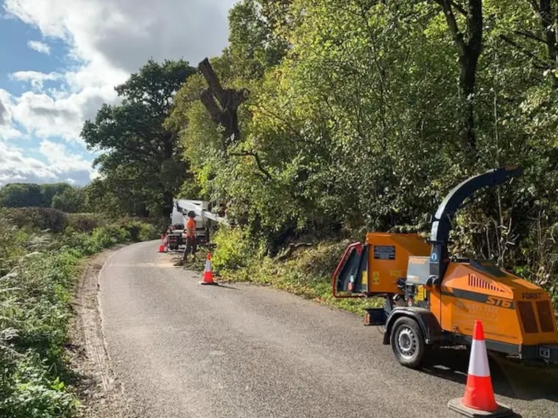 Roadside Tree Maintenance on Country Lane near Nailsworth